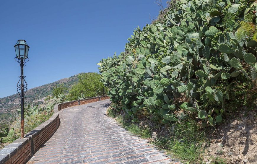 Savoca & Forza d’Agró private tour