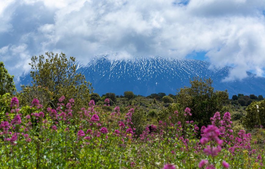 Mount Etna private tour