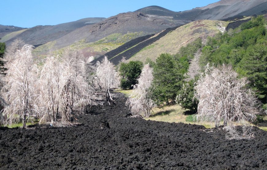 Mount Etna private tour