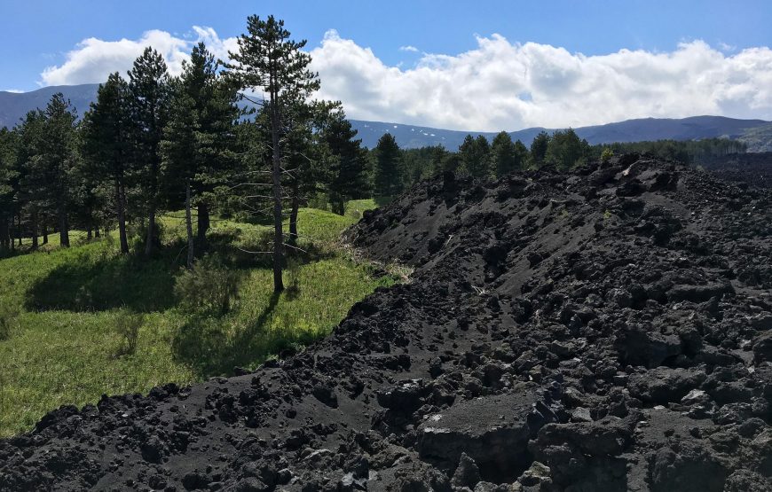 Visita guidata Etna